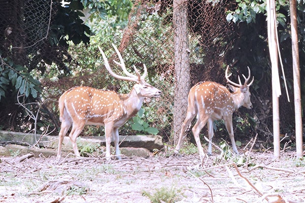 Sepahijala Wildlife Sanctuary